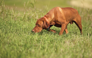 traffic sp group 123