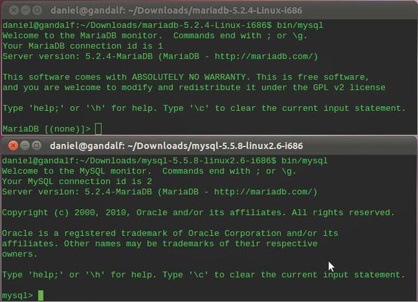 Mysql 5.5 Reference Manual Pdf