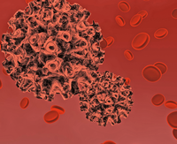 Denis Makarov, 123RF.com