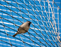 © kobra78, Fotolia.com