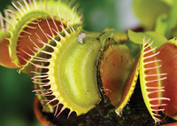 © monophoto, 123RF.com