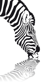 © petrol, 123RF.com © petrol, 123RF.com