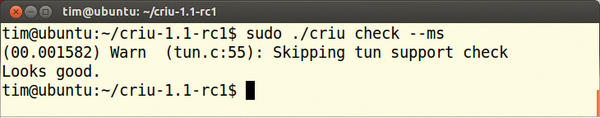 Save and Restore Linux Processes with CRIU