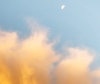 Photo by adrian on Unsplash Photo by adrian on Unsplash