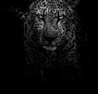 Photo by Geran de Klerk on Unsplash Photo by Geran de Klerk on Unsplash