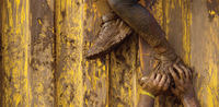 Lead Image © Pavol Stredansky Lead Image © Pavol Stredansky