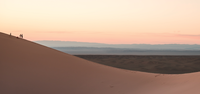 Photo by Patrick Schneider on Unsplash Photo by Patrick Schneider on Unsplash