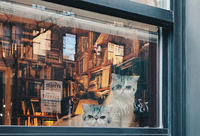 Photo by Clay LeConey on Unsplash Photo by Clay LeConey on Unsplash