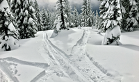 Photo by Beau Runsten on Unsplash Photo by Beau Runsten on Unsplash