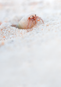 Photo by Mohamed Shaffaf on Unsplash Photo by Mohamed Shaffaf on Unsplash