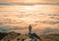 Photo by Alessandro Erbetta on Unsplash Photo by Alessandro Erbetta on Unsplash
