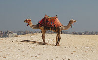 Photo by Jeffrey Dungen on Unsplash Photo by Jeffrey Dungen on Unsplash