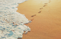 Photo by Abbas Tehrani on Unsplash Photo by Abbas Tehrani on Unsplash