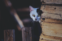 Photo by Sebastian Molina fotografÌa on Unsplash Photo by Sebastian Molina fotografÌa on Unsplash