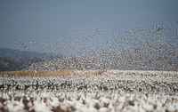 Photo by Ray Hennessy on Unsplash Photo by Ray Hennessy on Unsplash