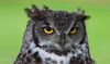 Photo by Paul Morley on Unsplash