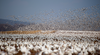 Photo by Ray Hennessy on Unsplash