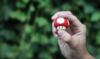 Photo by Geeky Shots on Unsplash