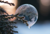Photo by Aaron Burden on Unsplash