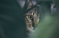 Photo by Gustavo Xavier on Unsplash Photo by Gustavo Xavier on Unsplash