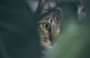 Photo by Gustavo Xavier on Unsplash