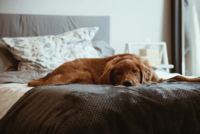 Photo by Conner Baker on Unsplash Photo by Conner Baker on Unsplash