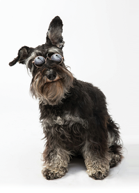 Photo by FLOUFFY on Unsplash