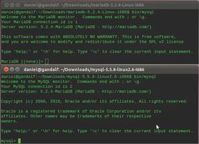 MariaDB vs. MySQL / Articles / Home - ADMIN Magazine